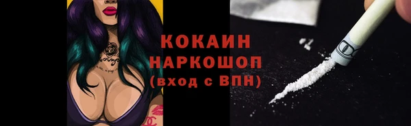 спайс Богданович