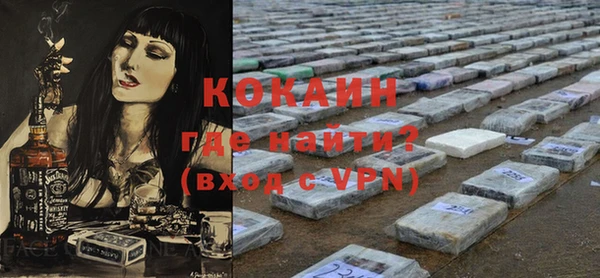 спайс Богданович