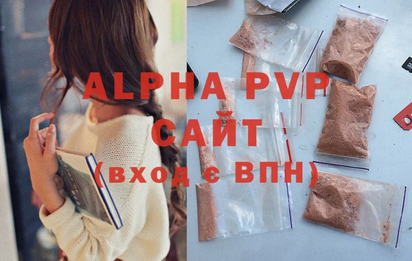 спайс Богданович