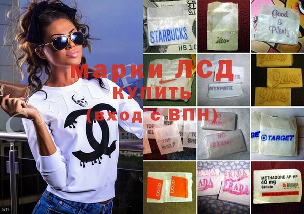 спайс Богданович