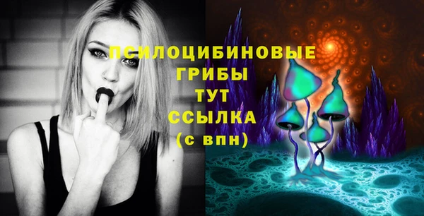 спайс Богданович